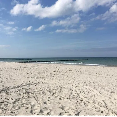 Kirschbluete * Zingst